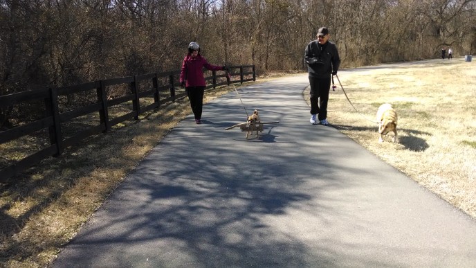 IMG_20140228_111515531